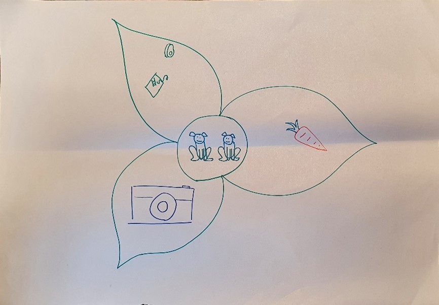 An example flower diagrams (shared with student permission):